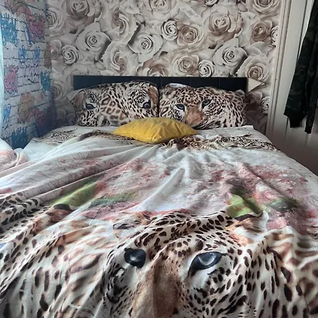 Homestay szállás Casa De Munca Leeds